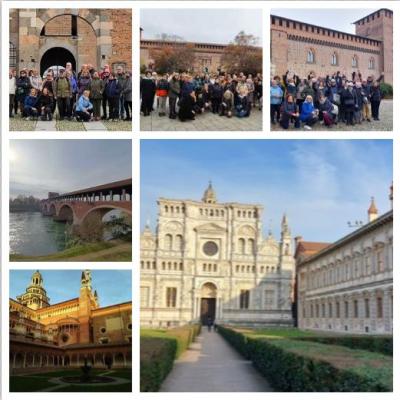 Collage Pavia
